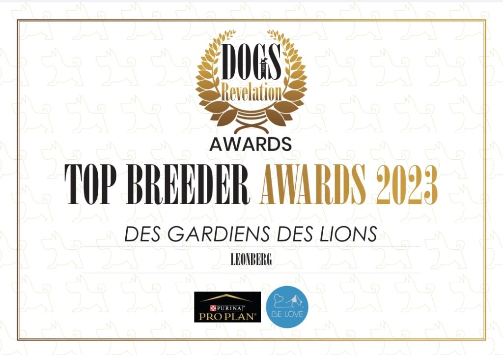 Des Gardiens Des Lions - Meilleur Élevage en France de leonberg en 2023